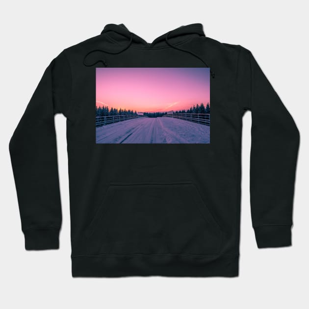 Winter Wonderland Hoodie by iluphoto